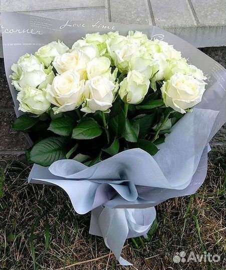 Высокие розы