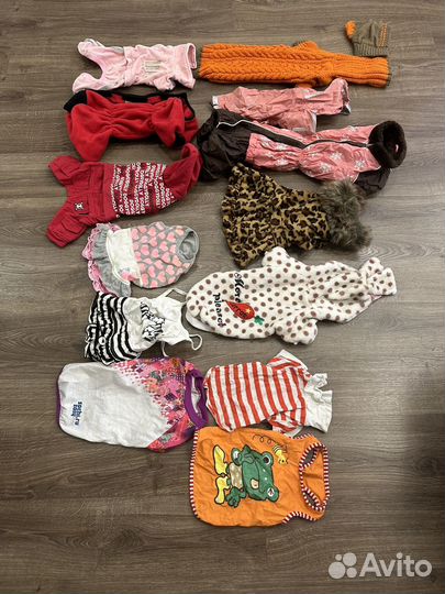 Одежда для собаки