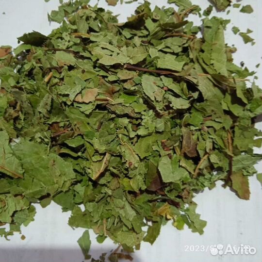 Вишня лист рез 20-40 мм Россия 2023 год