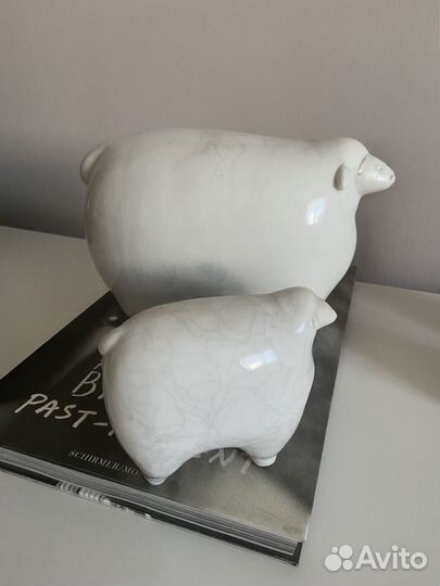 Овцы декоративные