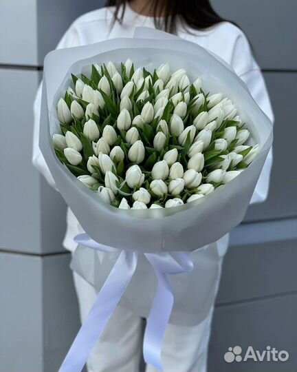 Тюльпаны к 8 марта