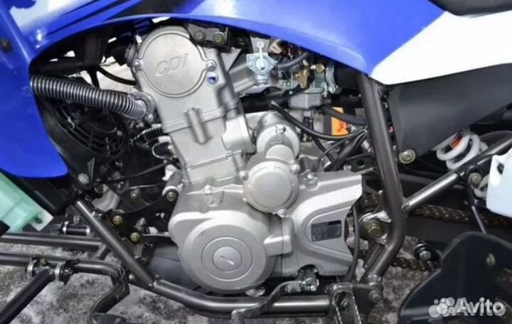 Квадроцикл Motoland ATV 250 S синий