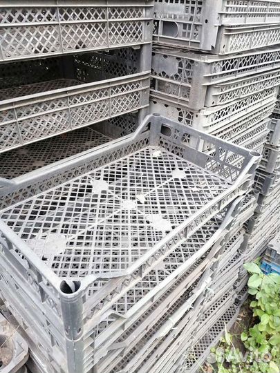 Пластиковые ящики бу