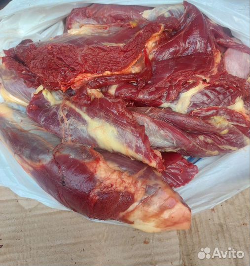 Мясо говядина