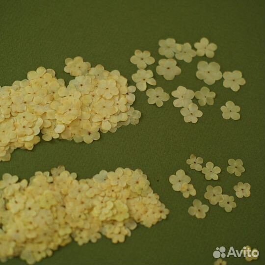 Сухоцветы для свечей и мыла