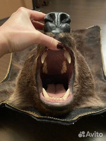 Шкура медведя имитация