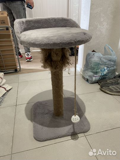 Когтеточка для кошек