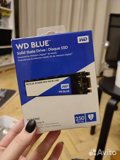 SSD M2 SATA 250gb (wd blue)