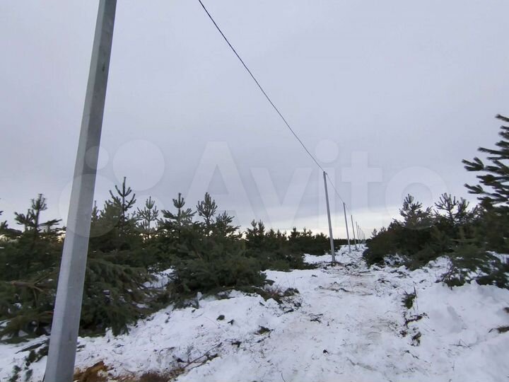 Участок 12,5 сот. (СНТ, ДНП)