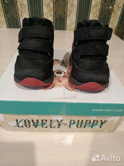 Демисезонные ботинки 20