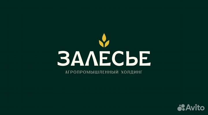 Оператор машинного доения