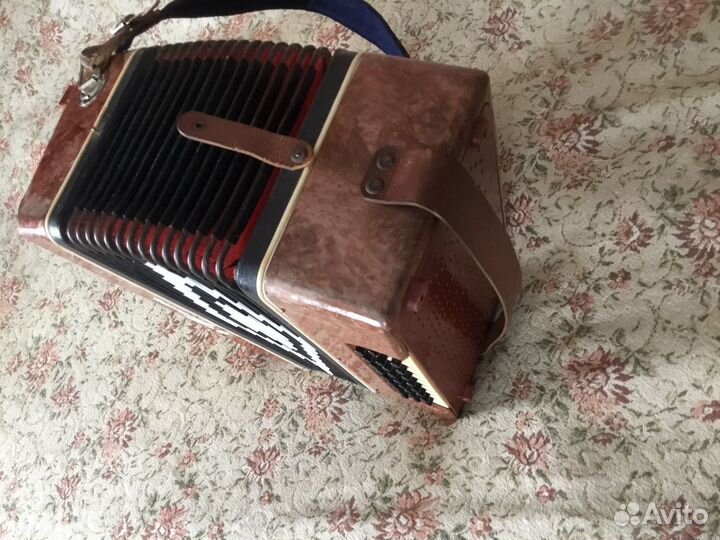 Гармонь Троянда