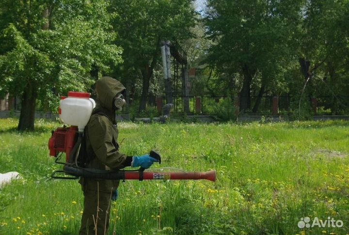 Уничтожение клопов тараканов грызунов грибка плесе