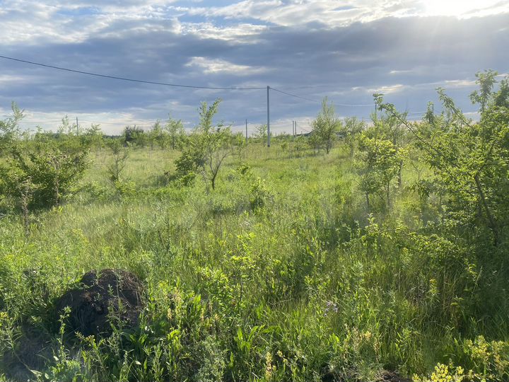 Участок 10 сот. (ИЖС)