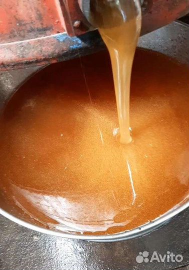 Мёд Алтайский