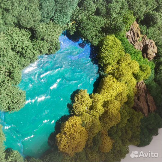 Картина из стабилизированного мха