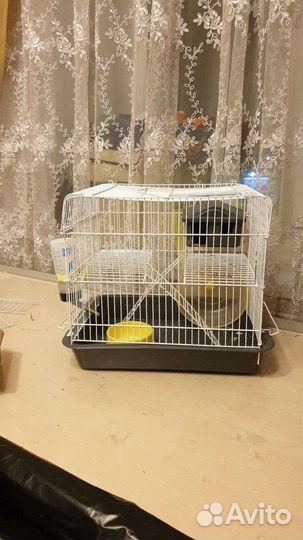 Клетка для грызунов бу