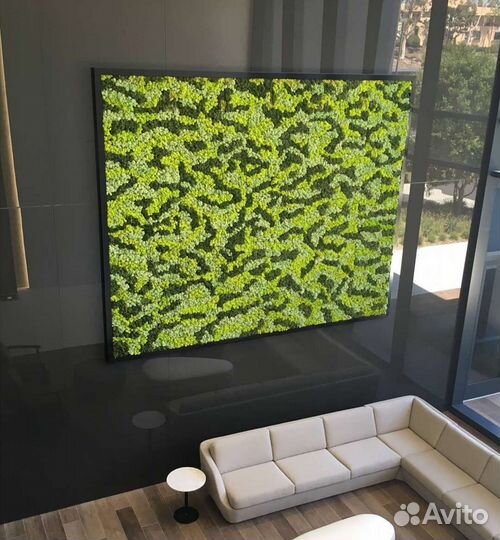 Мох стабилизированный фитокартина фитостена панно