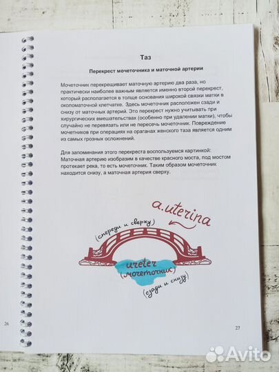 Медицинские мнемоники