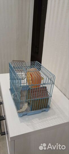 Клетка для грызунов