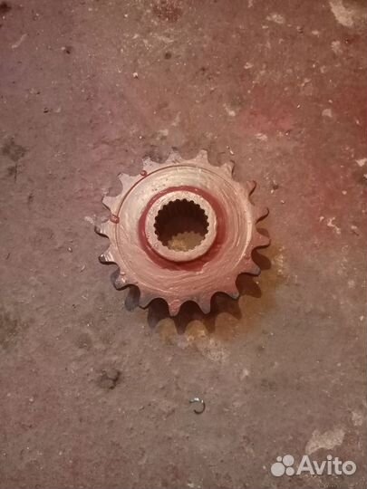 Звёздочка клаас