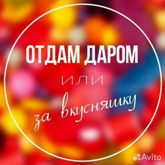 Одежда/обувь для двора, дачи