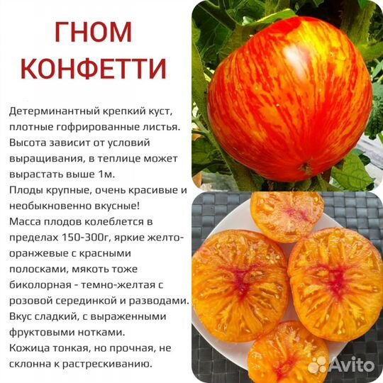 Семена томатов серии Гном
