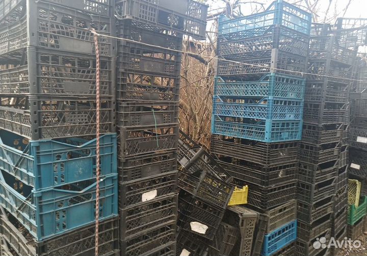 Ящики пластиковые