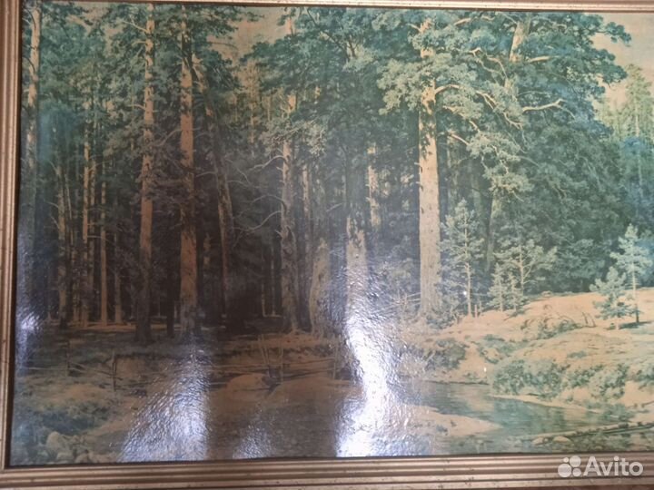 Картина., корабельная роща