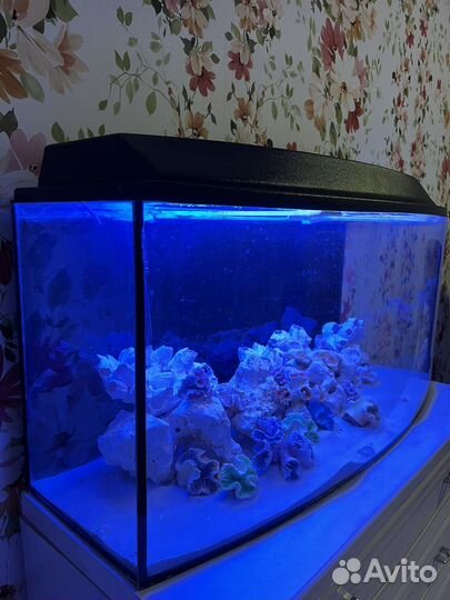 Аквариум 150 литров