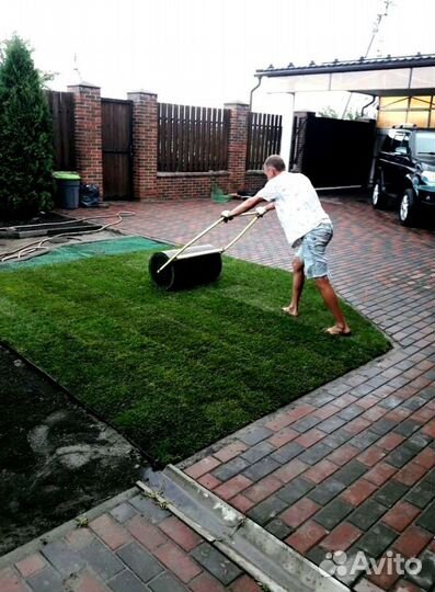 Рулонный газон