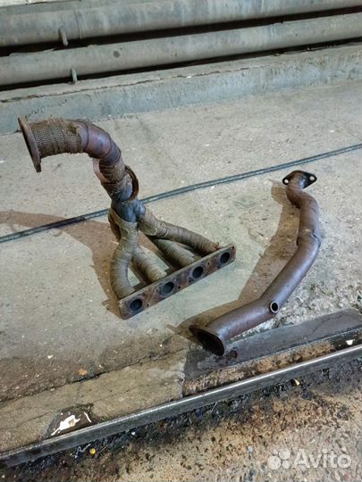 Паук со штанами