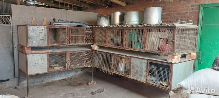 Клетка для нутрий