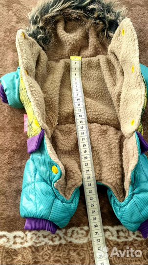 Одежда для собак