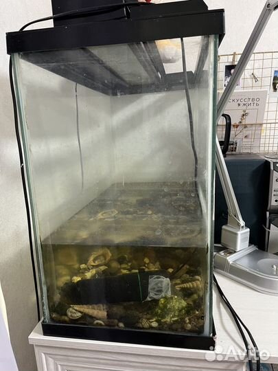 Аквариум