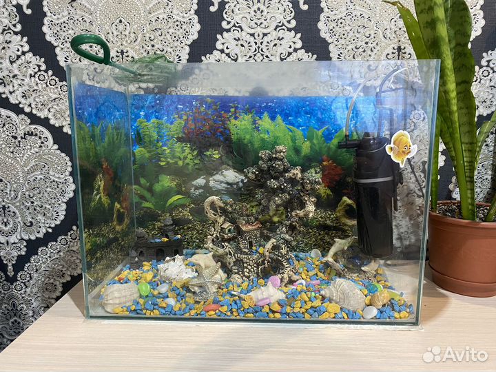 Аквариум со всеми украшениями