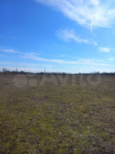 Участок 20 сот. (ИЖС)