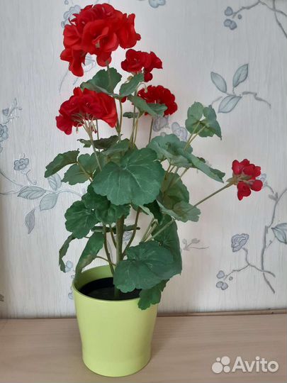 Пеларгония герань искусственная пионы