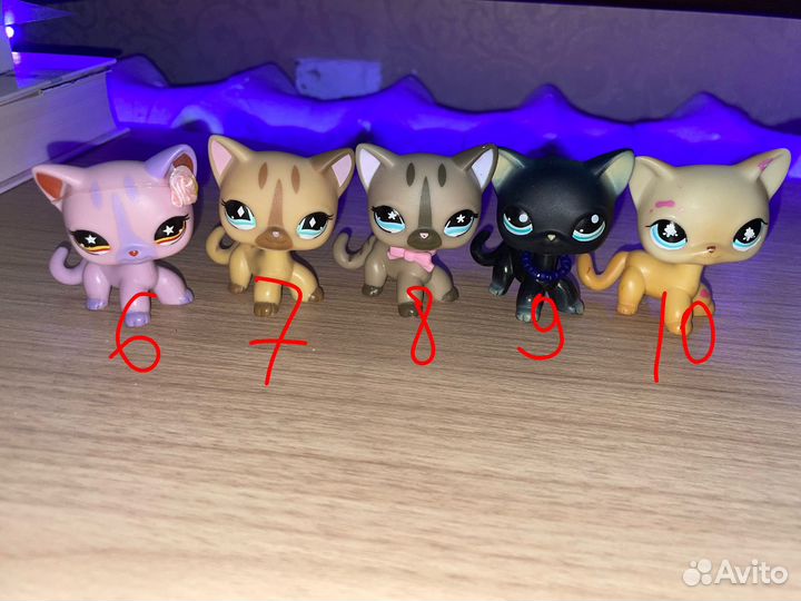 Littlest Pet Shop