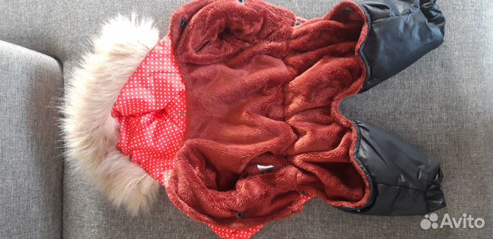 Одежда для собак