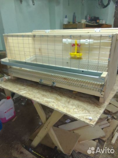 Клетки для перепелов несушек