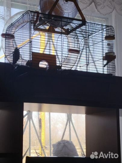 Клетка для грызунов с лабиринтом