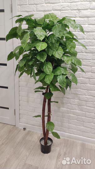 Искусственное дерево, искусственные цветы, фикус