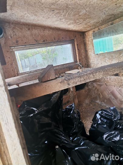 Курчтник зимний на 10 - 15 кур