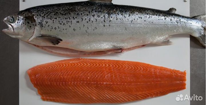 Сотрудник склада (Кладовщик комплектовщик )