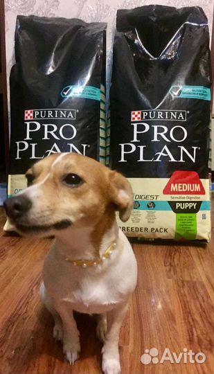 Корм для щенкоа проплан Pro Plan с ягненком