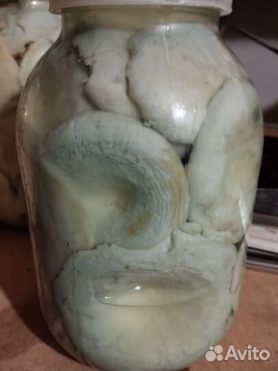 Грибы грузди соленые