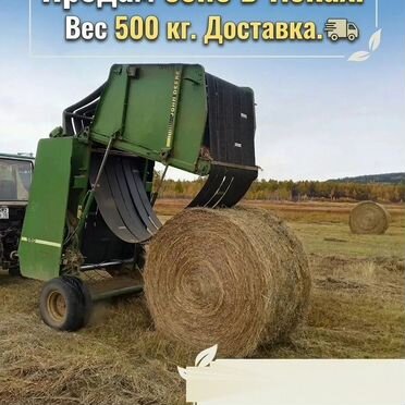 Сено в тюках