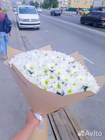 Хризантема кустовая Букет, корзина, декор Доставка