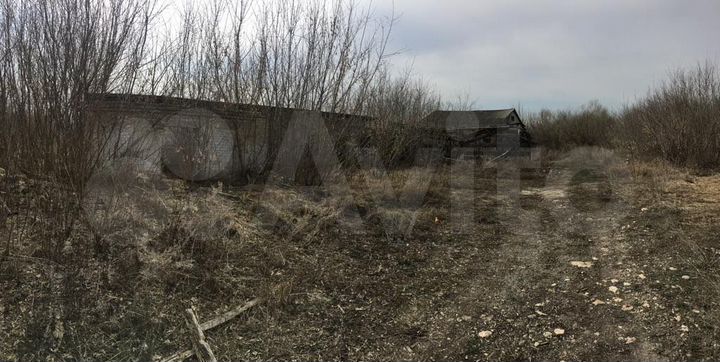 Участок 51 сот. (СНТ, ДНП)